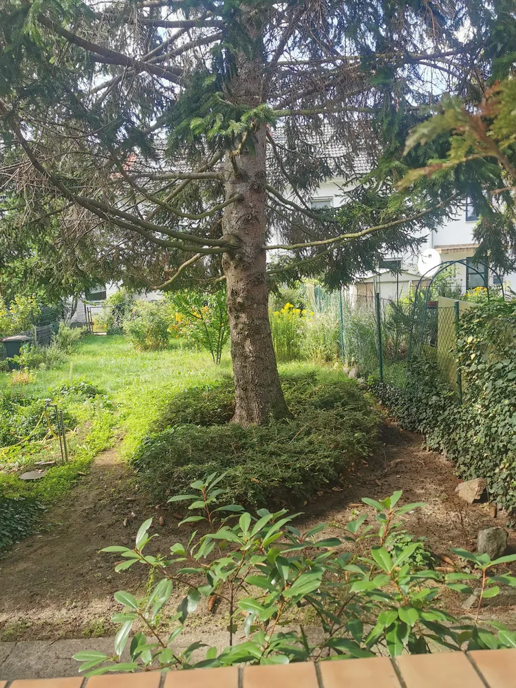 2 Zimmer Wohnung mit 57 m² in Darmstadt – Bild 7