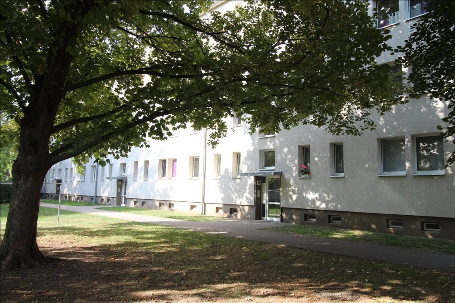 3 Zimmer Wohnung mit 58 m² in Magdeburg – Bild 1