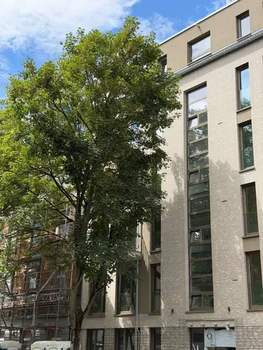 1 Zimmer Wohnung mit 40 m² in Düsseldorf – Bild 10
