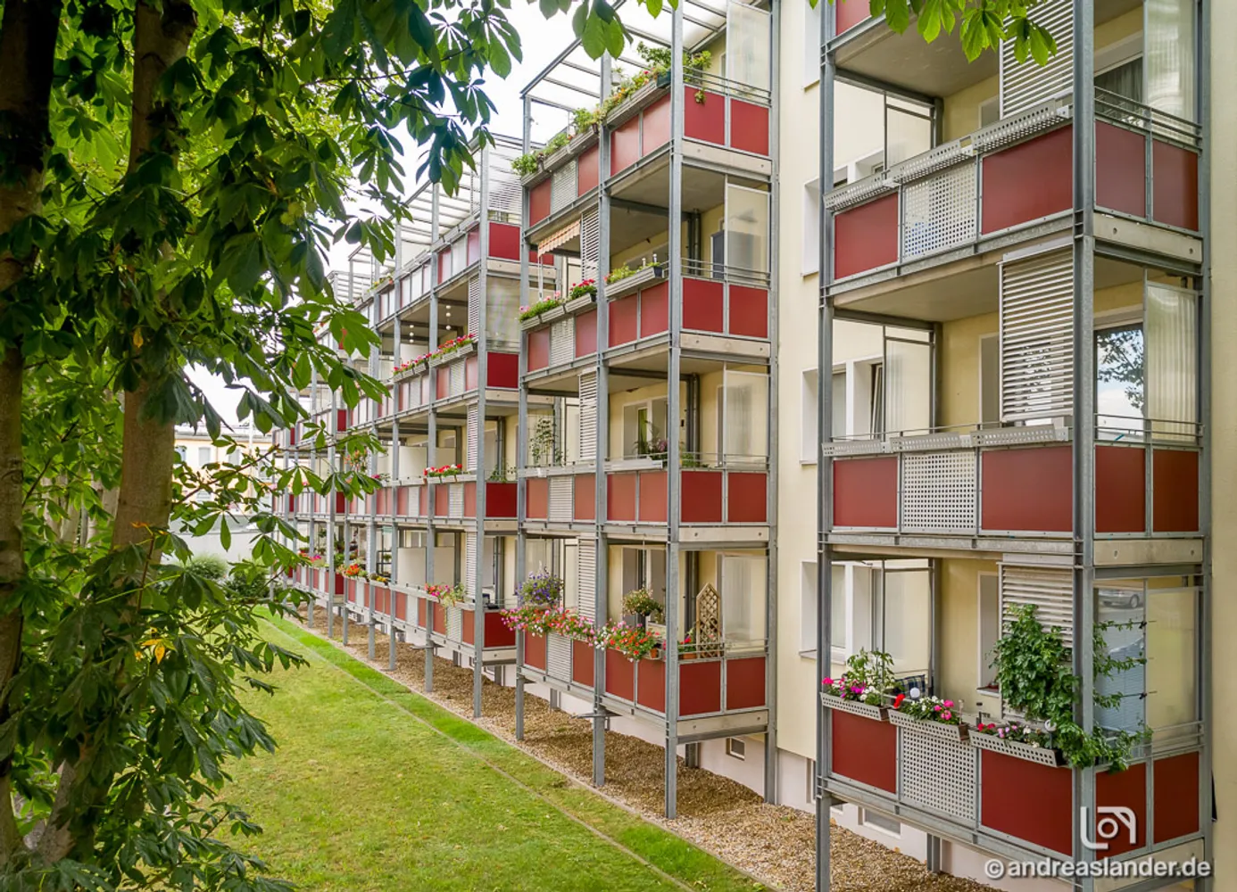 3 Zimmer Wohnung mit 65 m² in Magdeburg – Bild 1