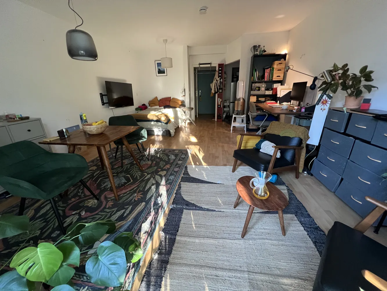 1 room apartment with 38 m² in Dresden – Photo 5