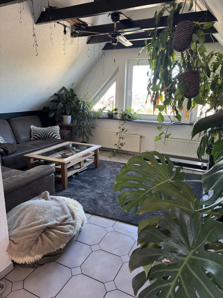 1 room apartment with 68 m² in Menden (Sauerland) – Photo 2