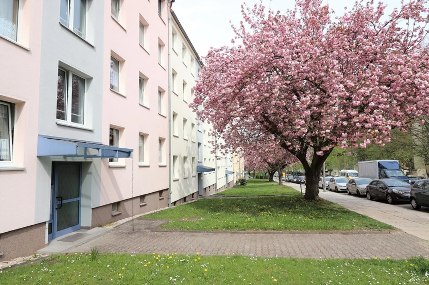 3 room apartment with 58 m² in Chemnitz – Photo 1