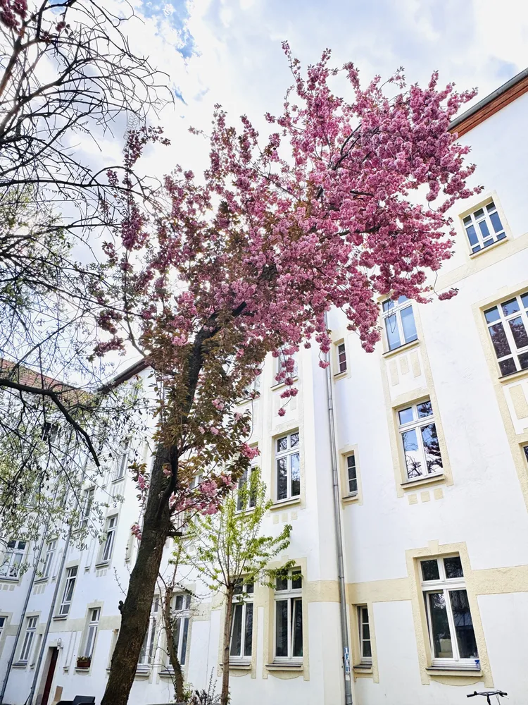 1 Zimmer Wohnung mit 22 m² in Magdeburg – Bild 2