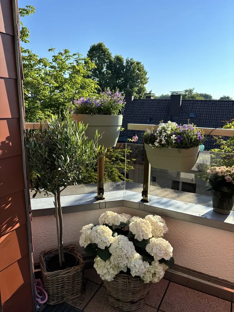 2 Zimmer Wohnung mit 51 m² in Essen – Bild 11