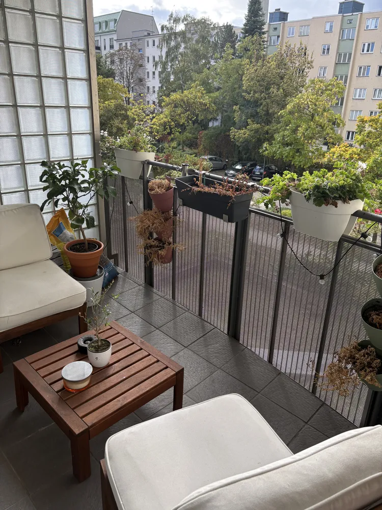 2 Zimmer Wohnung mit 62 m² in Berlin – Bild 3