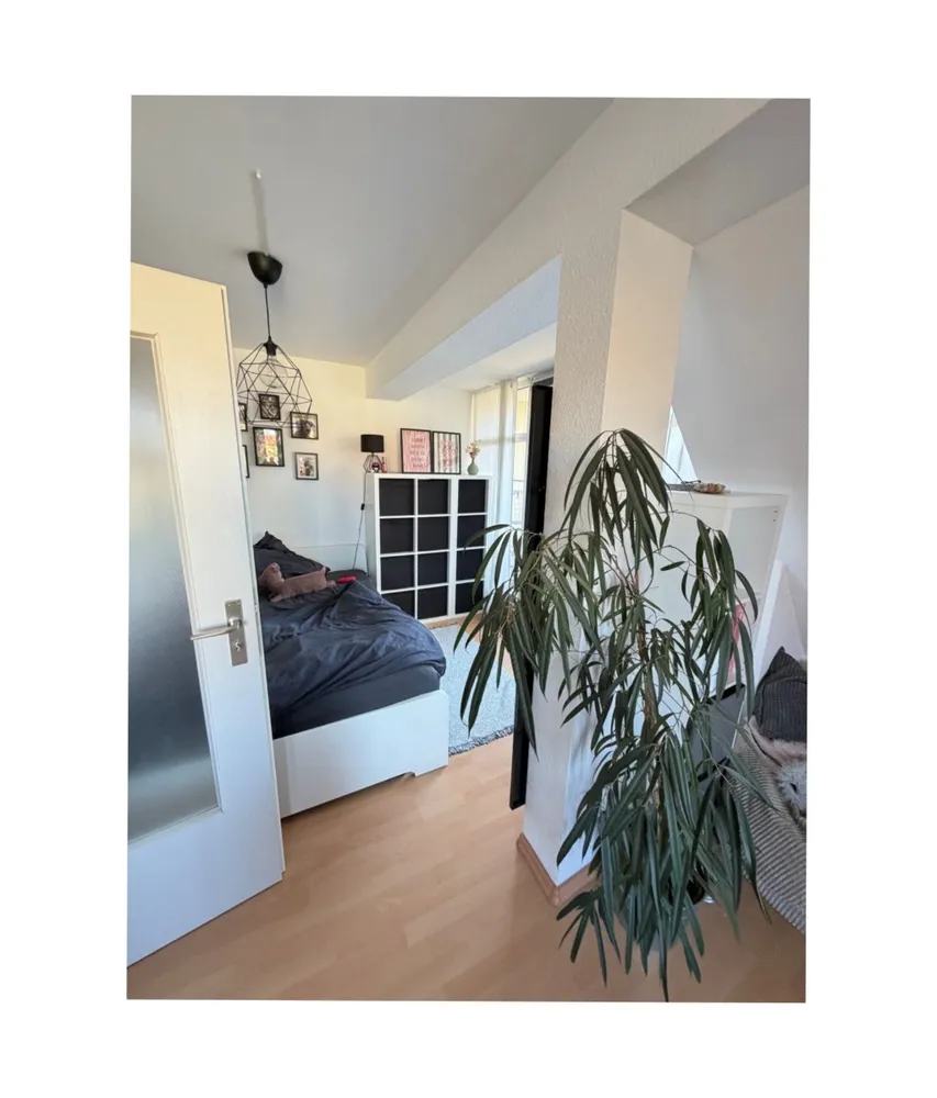 1 Zimmer Wohnung mit 35 m² in Dresden – Bild 8