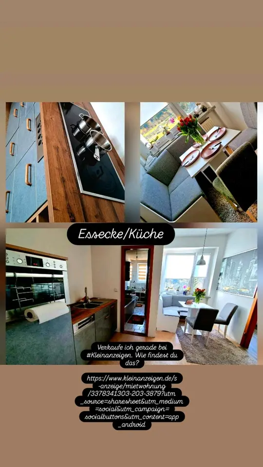 2 room apartment with 45 m² in Chemnitz – Photo 2