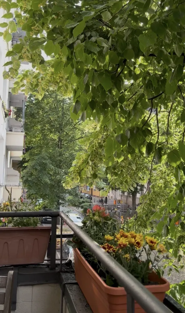 3 Zimmer Wohnung mit 80 m² in Berlin – Bild 6
