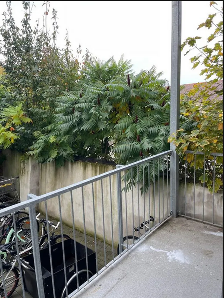 2 Zimmer Wohnung mit 63 m² in Leipzig – Bild 3