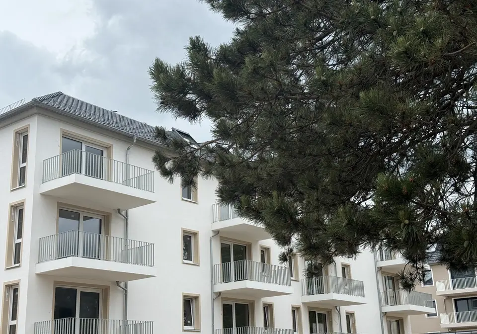 3 Zimmer Wohnung mit 70 m² in Dresden – Bild 3