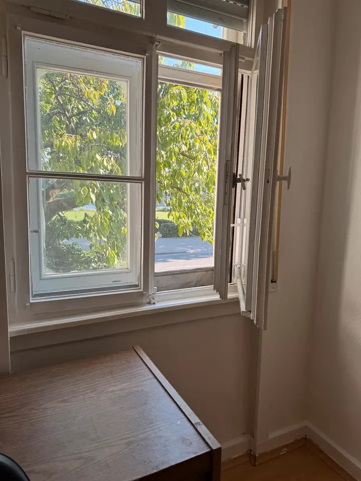 2 Zimmer Wohnung mit 22 m² in Heidelberg – Bild 4