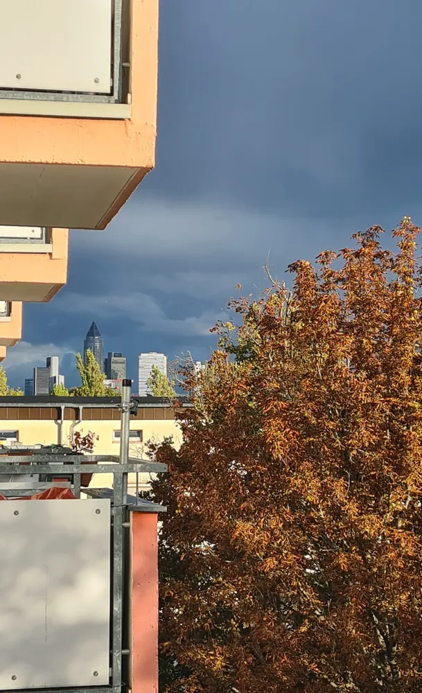 2 room apartment with 55 m² in Frankfurt am Main – Photo 8