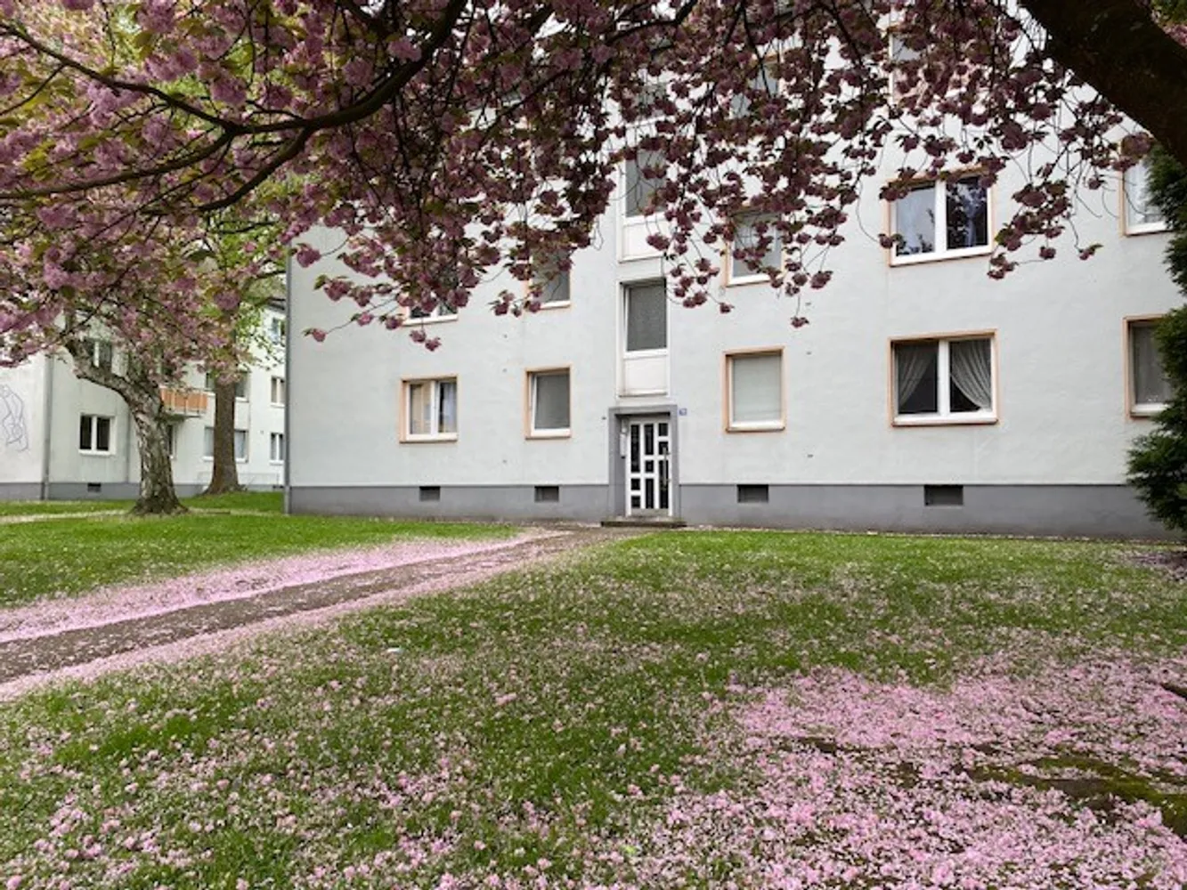 3 Zimmer Wohnung mit 48 m² in Essen – Bild 1