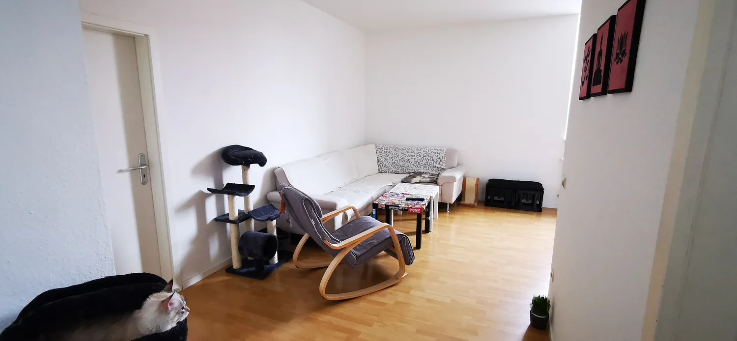 2 Zimmer Wohnung mit 55 m² in Mannheim – Bild 1