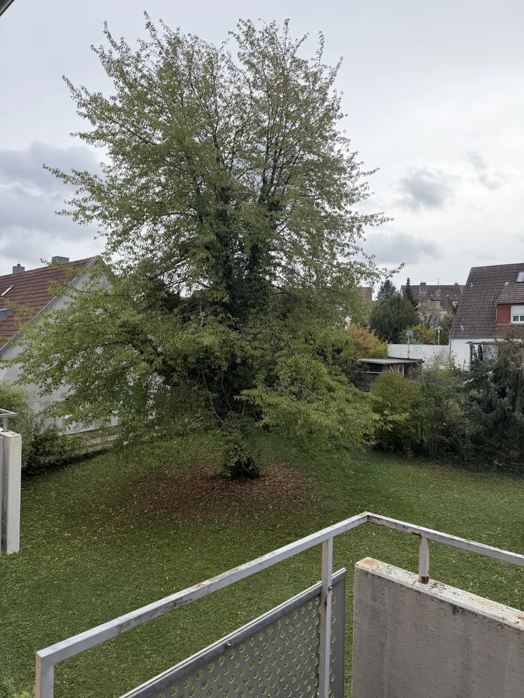 1 Zimmer Wohnung mit 23 m² in Schweinfurt – Bild 2