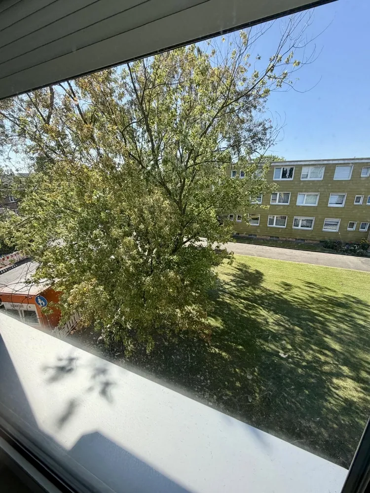 2 Zimmer Wohnung mit 55 m² in Braunschweig – Bild 4