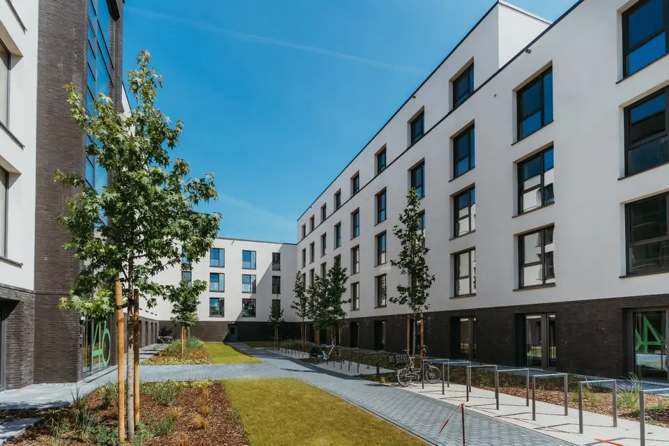2 Zimmer Wohnung mit 25 m² in Bielefeld – Bild 4