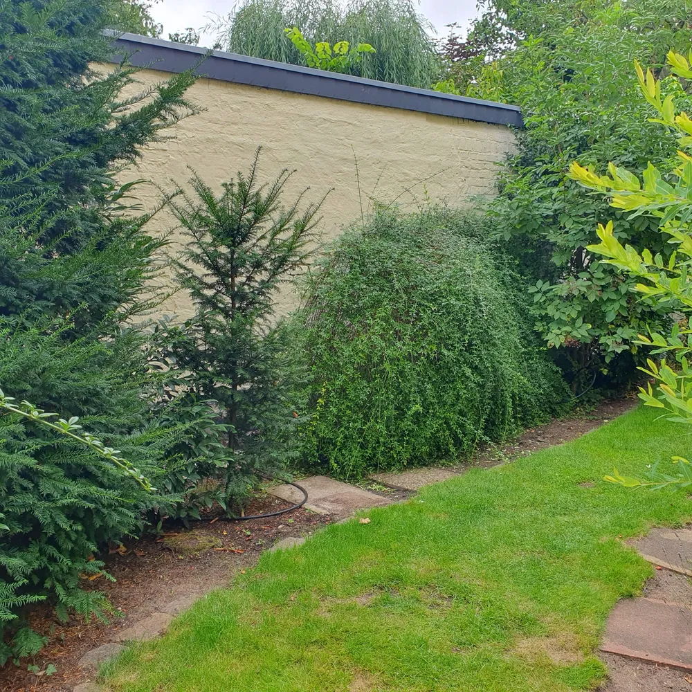4 Zimmer Haus mit 105 m² in Berlin – Bild 4