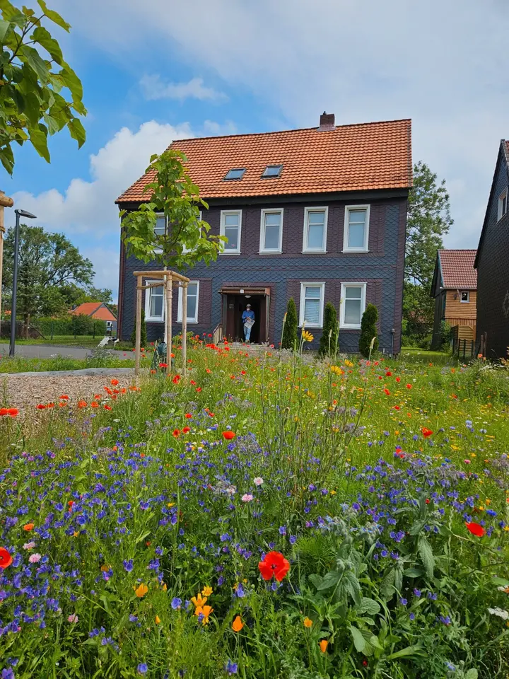 2 Zimmer Wohnung mit 50 m² in Osterode am Harz – Bild 3