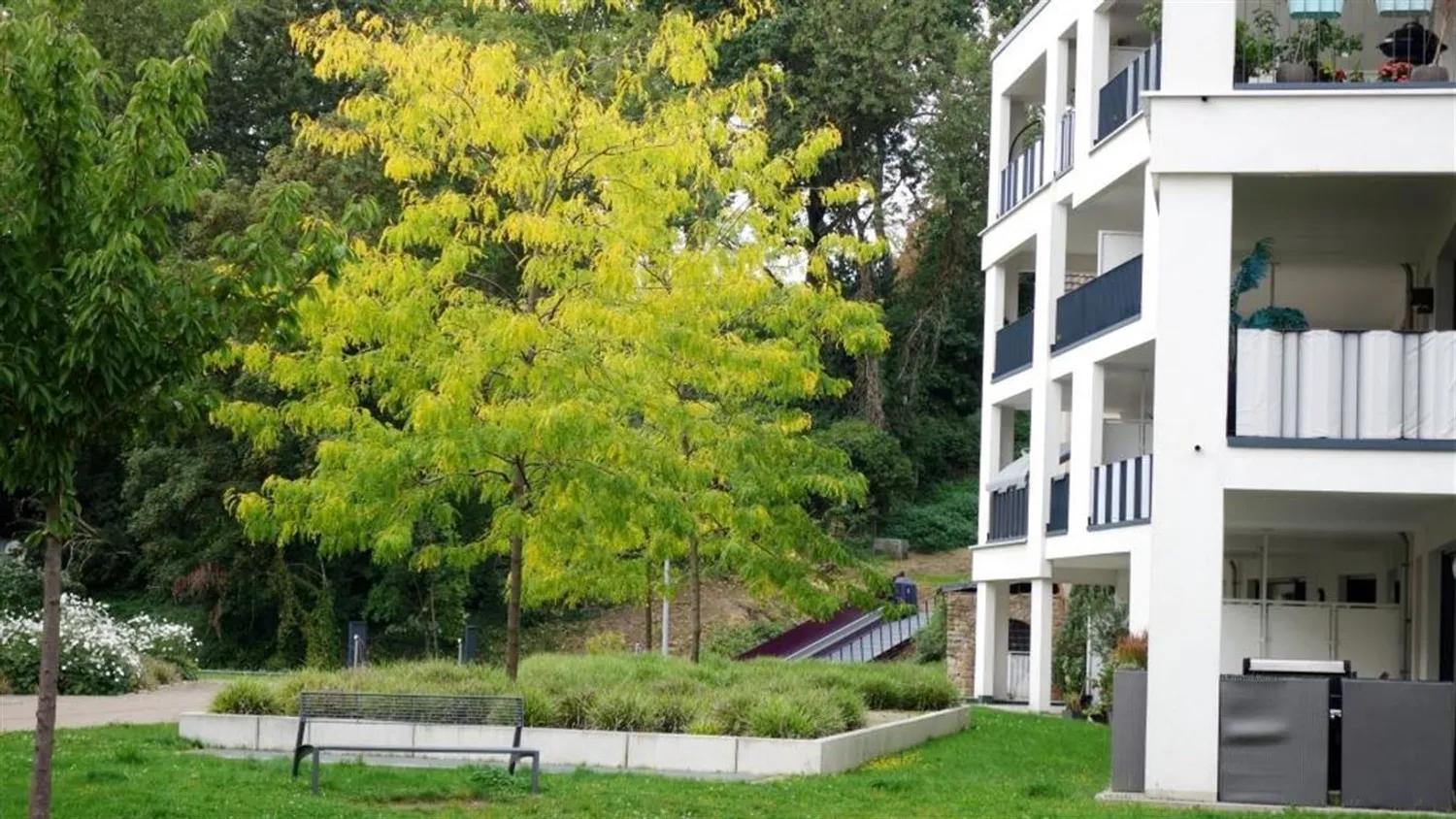 2 Zimmer Wohnung mit 51 m² in Mönchengladbach – Bild 3