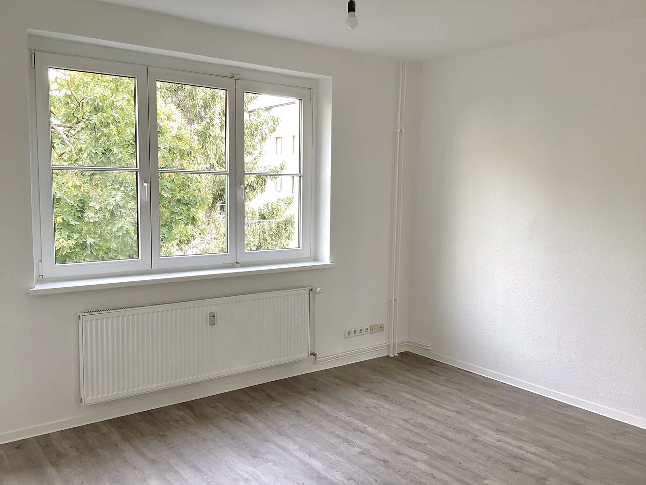 3 room apartment with 60 m² in Magdeburg – Photo 6