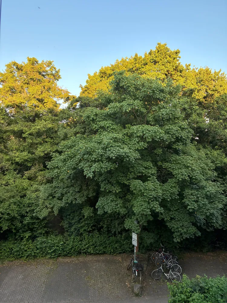 1 Zimmer Wohnung mit 19 m² in Göttingen – Bild 2