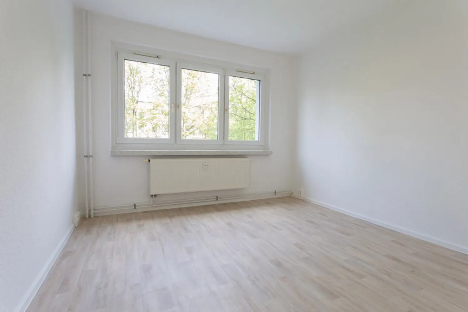 3 room apartment with 56 m² in Chemnitz – Photo 5