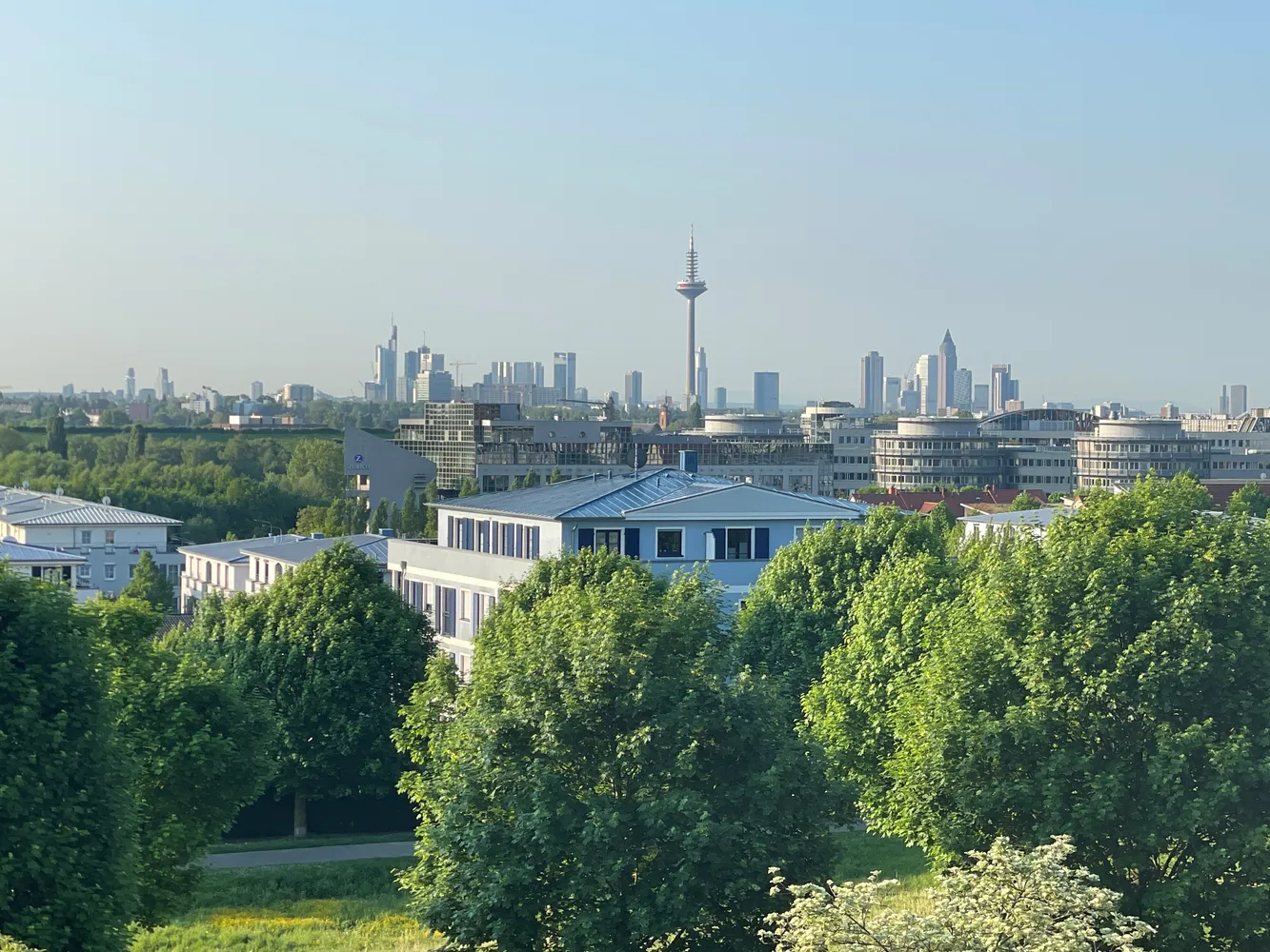 2 Zimmer Wohnung mit 73 m² in Frankfurt am Main – Bild 1
