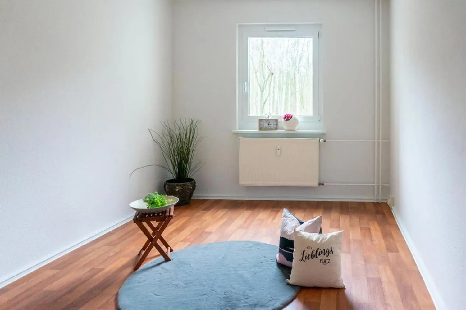 2 room apartment with 53 m² in Chemnitz – Photo 3