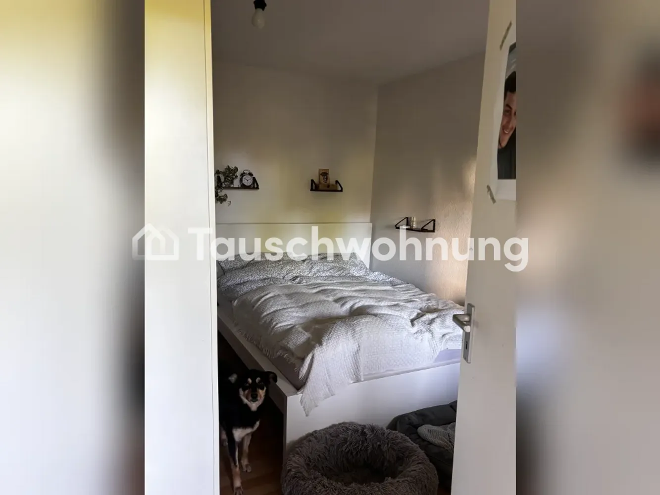 3 Zimmer Wohnung mit 65 m² in Freiburg im Breisgau – Bild 3