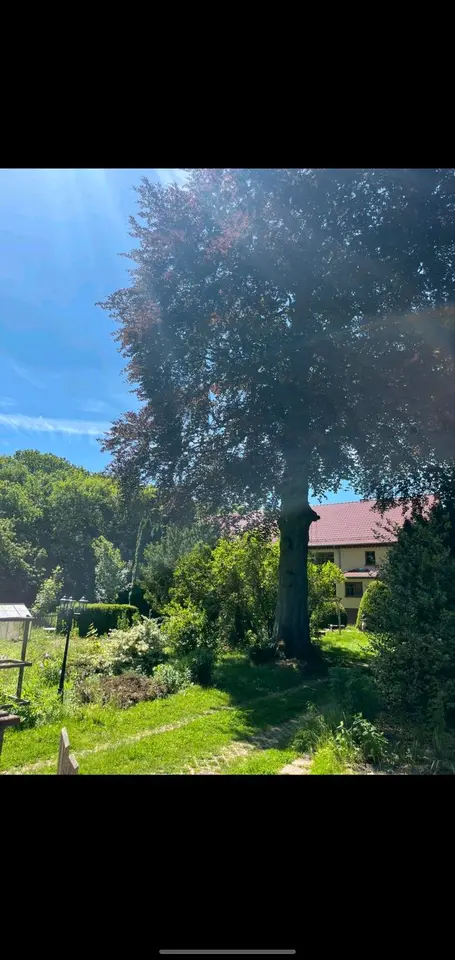 WG-Zimmer mit 500 m² in Grimma – Bild 7