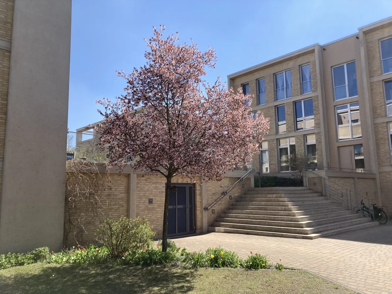 3 Zimmer Wohnung mit 133 m² in Potsdam – Bild 2