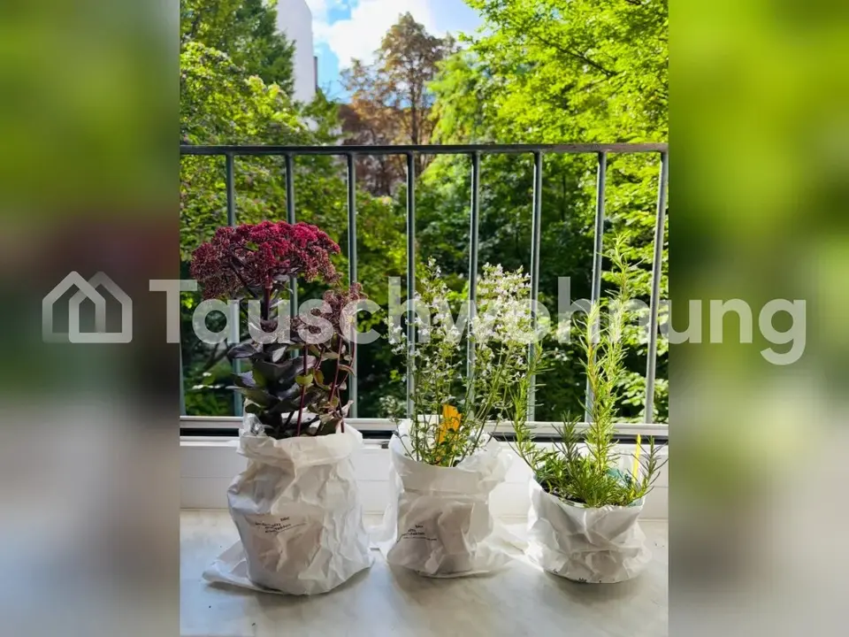 2 Zimmer Wohnung mit 36 m² in Berlin – Bild 10