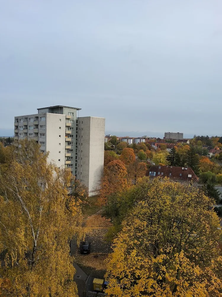 2 Zimmer Wohnung mit 46 m² in Frankfurt (Oder) – Bild 5