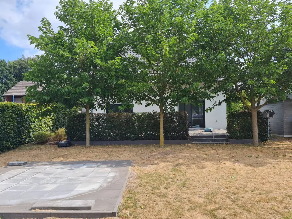 4 Zimmer Haus mit 125 m² in Kleve – Bild 3