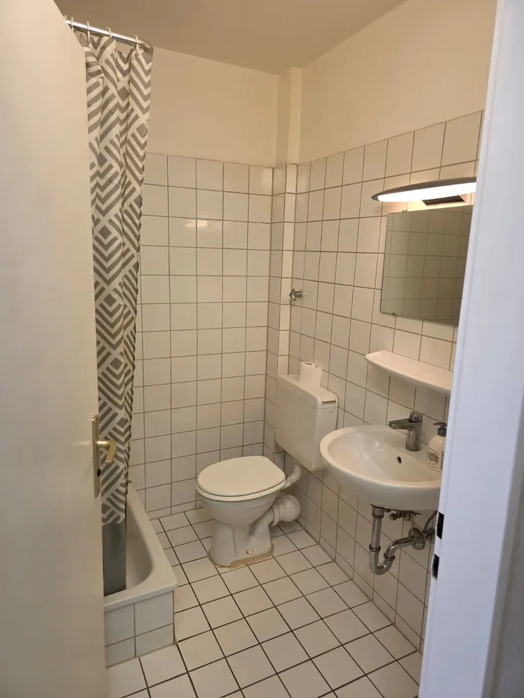1 Zimmer Wohnung mit 33 m² in Ludwigshafen am Rhein – Bild 4