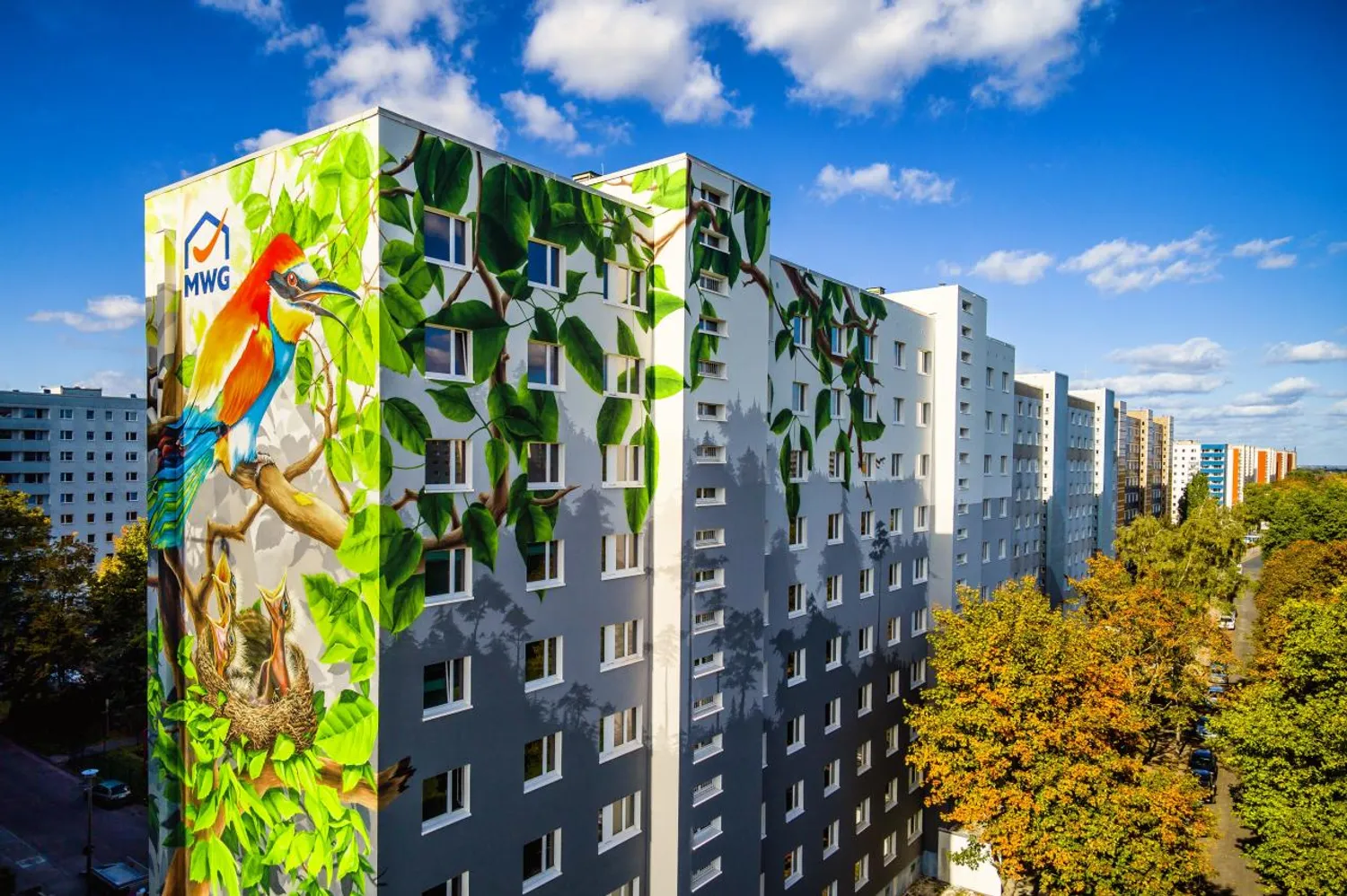 2 Zimmer Wohnung mit 50 m² in Magdeburg – Bild 1