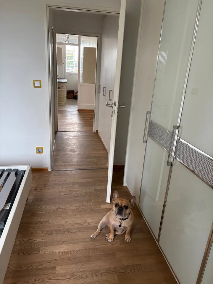 2 Zimmer Wohnung mit 62 m² in Nürnberg – Bild 4