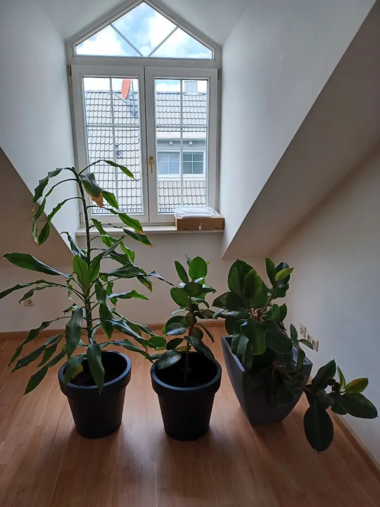 2 Zimmer Wohnung mit 52 m² in München – Bild 9