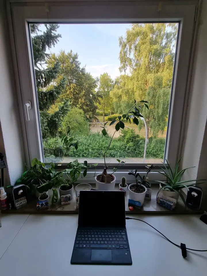 2 Zimmer Wohnung mit 30 m² in Osnabrück – Bild 4