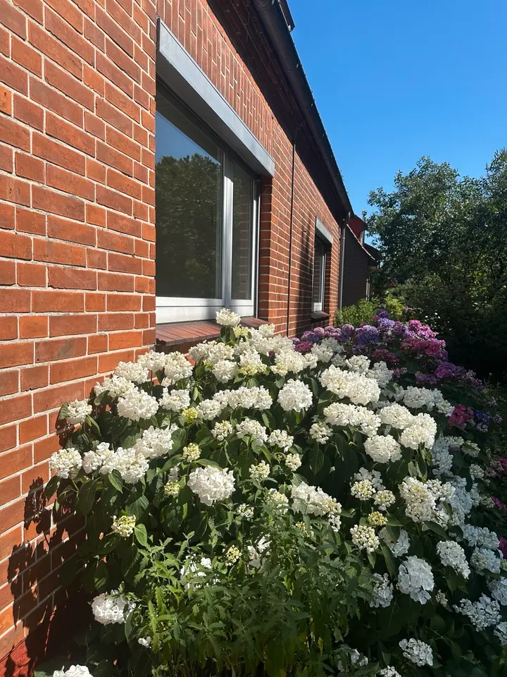 4 Zimmer Haus mit 110 m² in Verden (Aller) – Bild 4