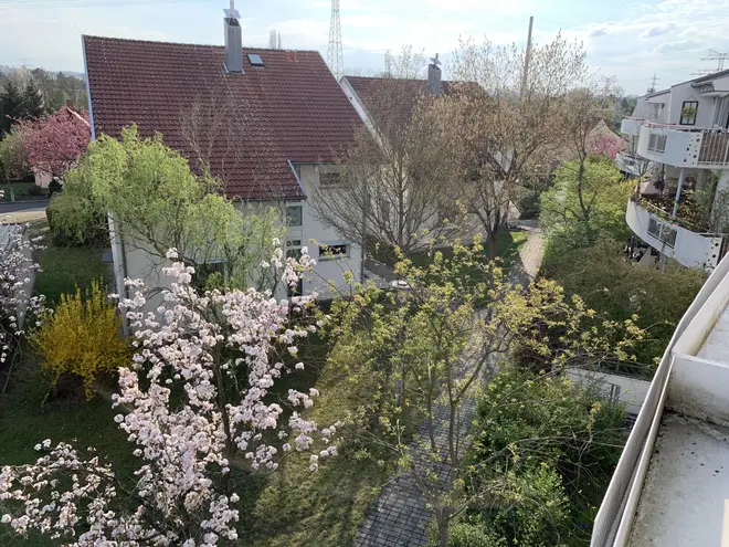 3 Zimmer Wohnung mit 65 m² in Dresden – Bild 10