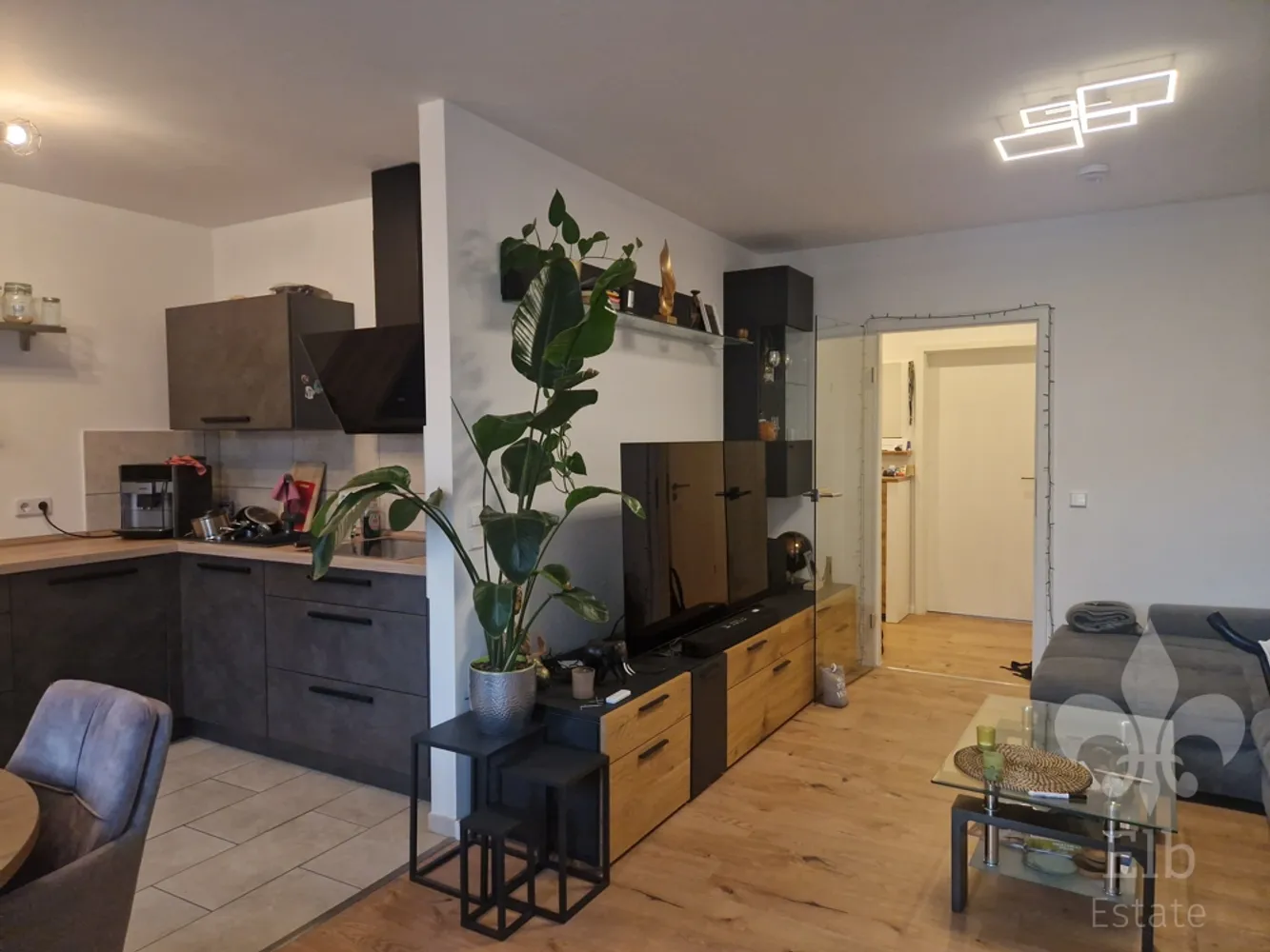 3 room apartment with 69 m² in Magdeburg – Photo 3