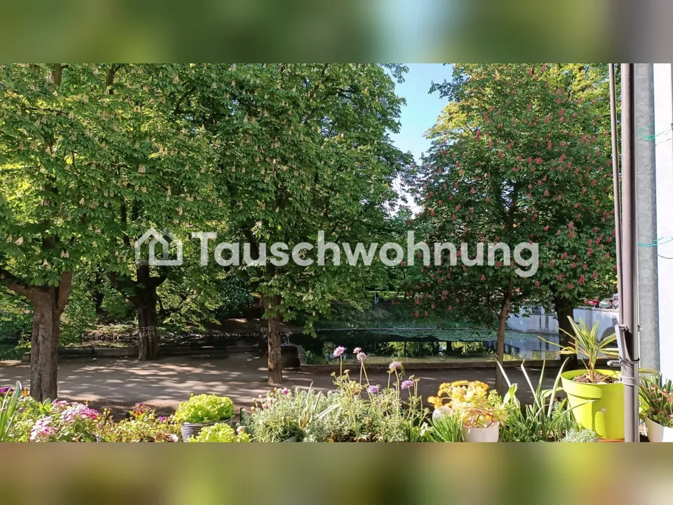 3 Zimmer Wohnung mit 76 m² in Köln – Bild 8