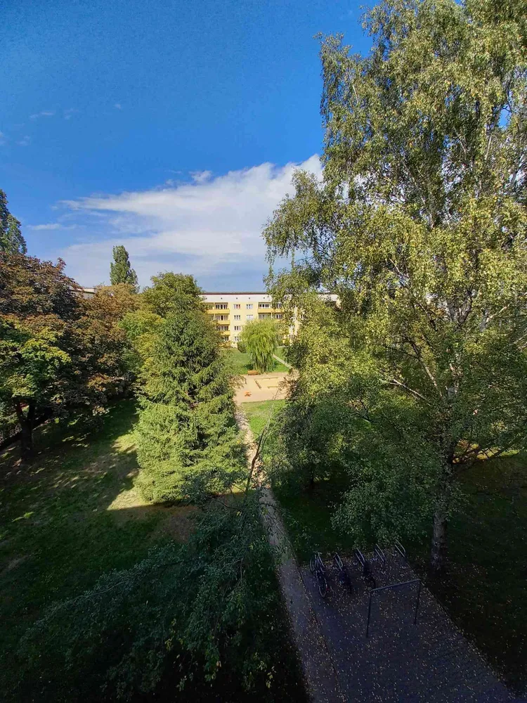3 Zimmer Wohnung mit 67 m² in Dresden – Bild 9