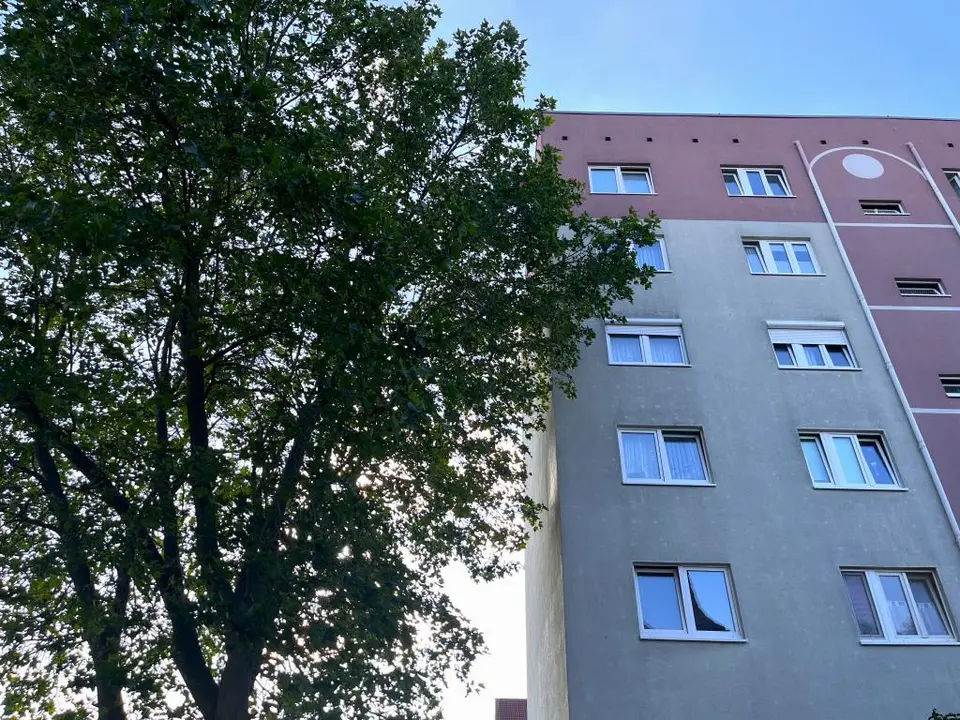 3 Zimmer Wohnung mit 68 m² in Riesa – Bild 5