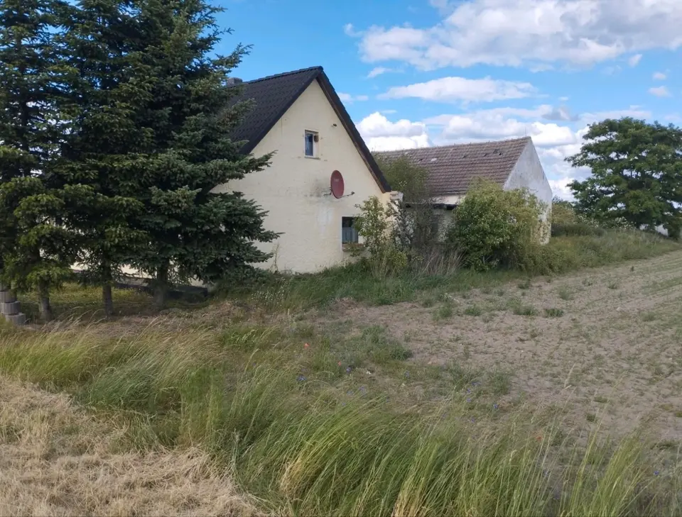 3 Zimmer Haus mit 85 m² in Bitterfeld-Wolfen – Bild 3