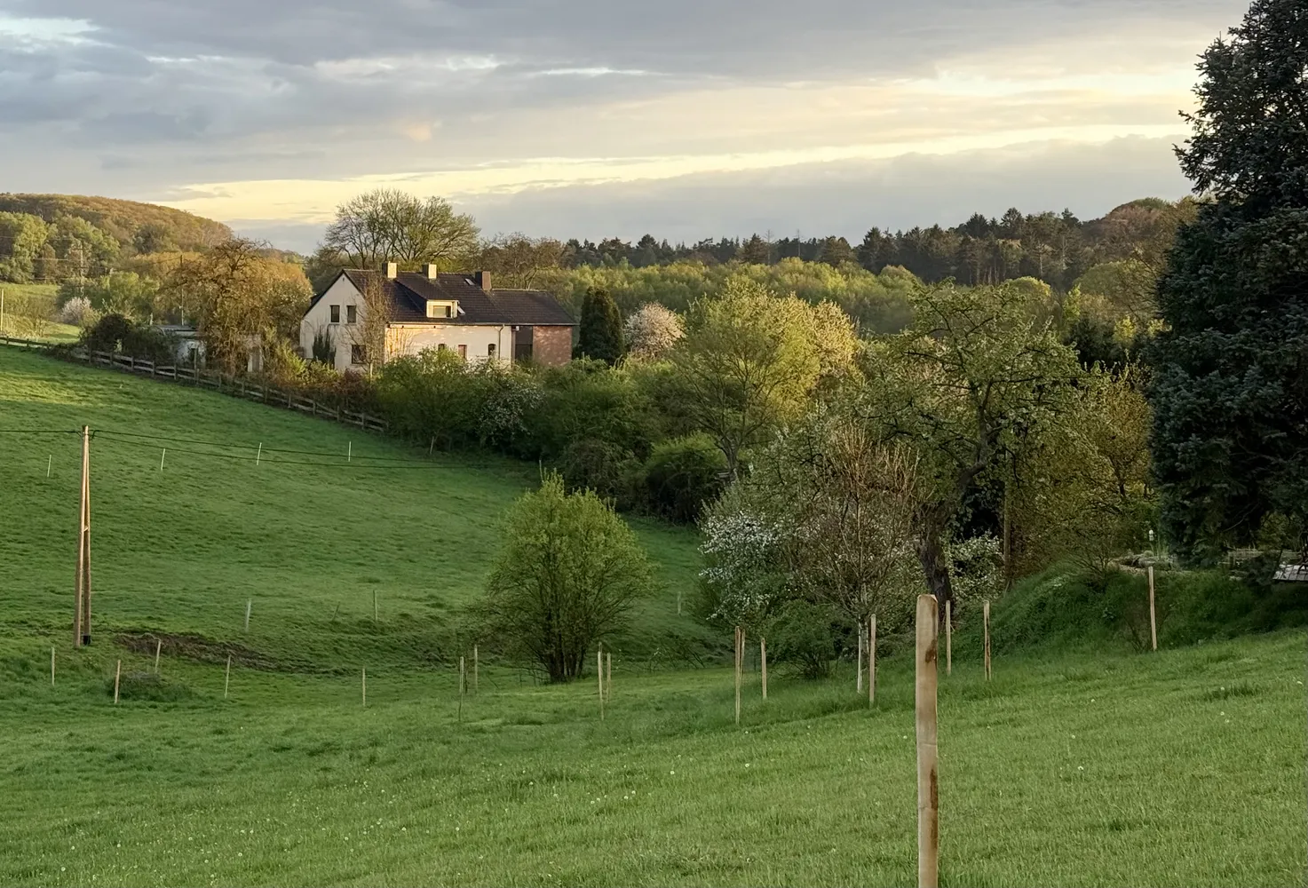 6 Zimmer Haus mit 208 m² in Witten – Bild 4