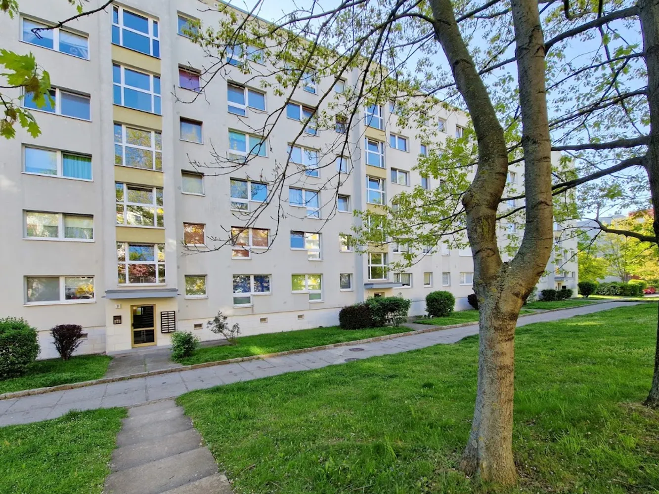 1 Zimmer Wohnung mit 27 m² in Dresden – Bild 5